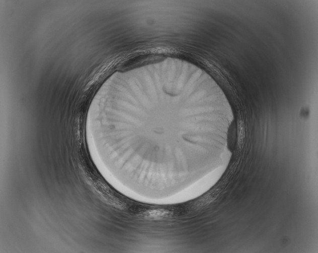 X0000115170158200912091032