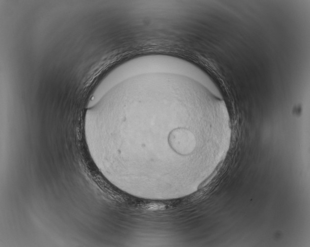 X0000115170162200912091032