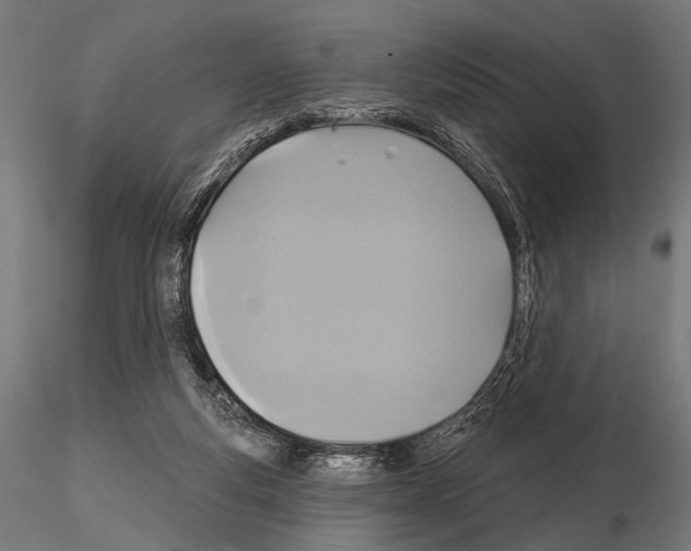 X0000115170163200912091032