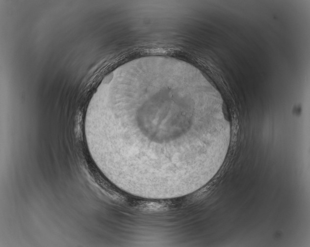 X0000115170166200912091032