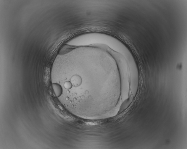 X0000115170167200912091032