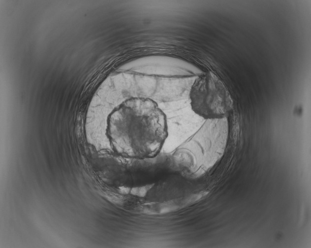 X0000115170169200912091032