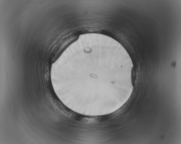 X0000115170170200912091032