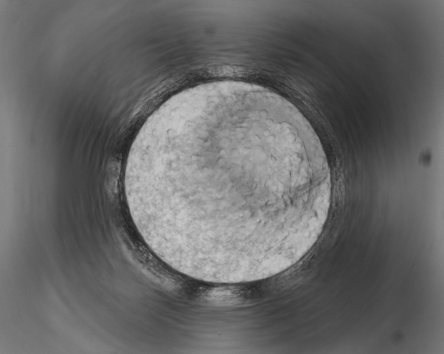 X0000115170171200912091032