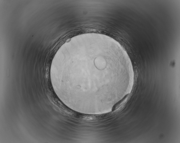 X0000115170174200912091032