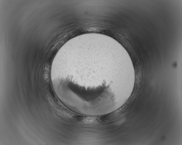 X0000115170175200912091032