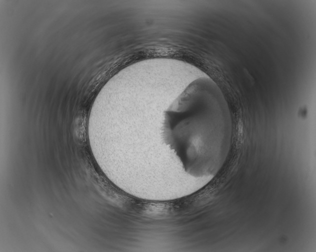 X0000115170177200912091032