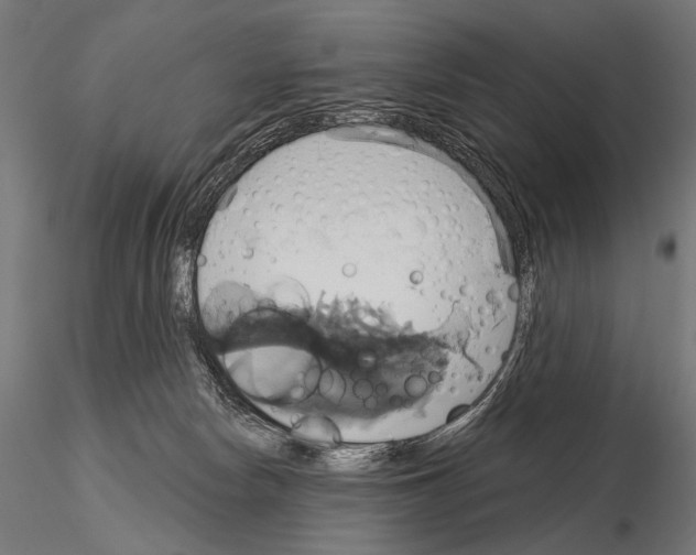 X0000115170178200912091032