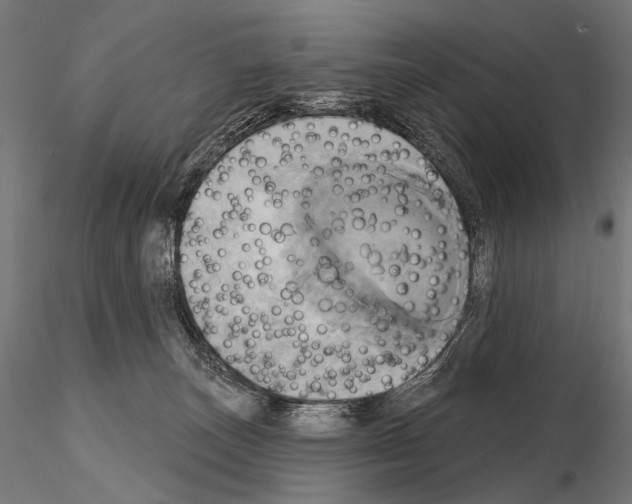 X0000115170179200912091032