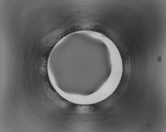 X0000115170181200912091032