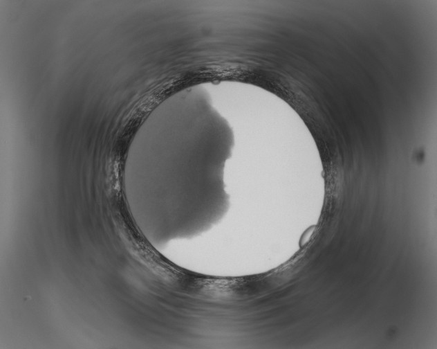 X0000115170182200912091032