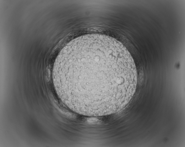 X0000115170183200912091032