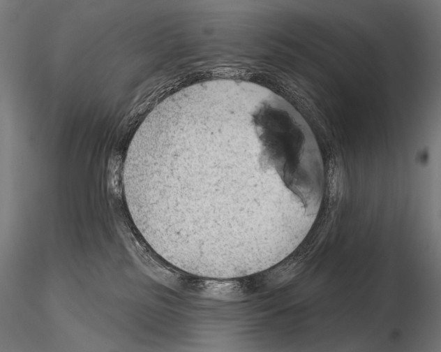 X0000115170185200912091032