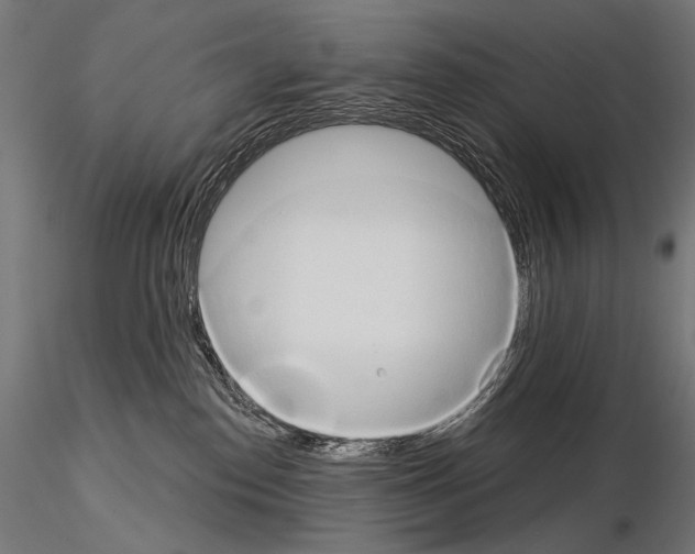 X0000115170186200912091032