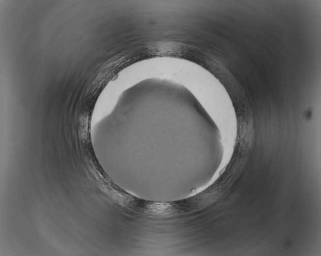 X0000115170189200912091032