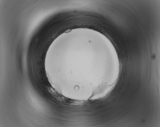 X0000115170190200912091032