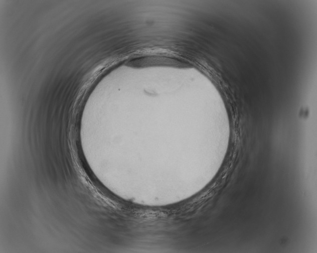 X0000115170193200912091031