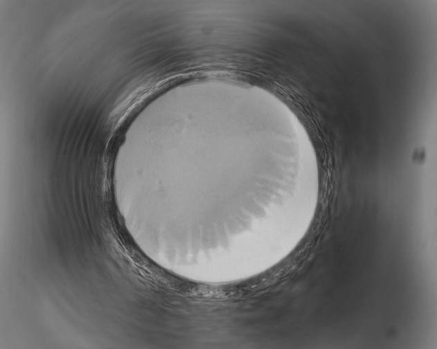 X0000115170194200912091031