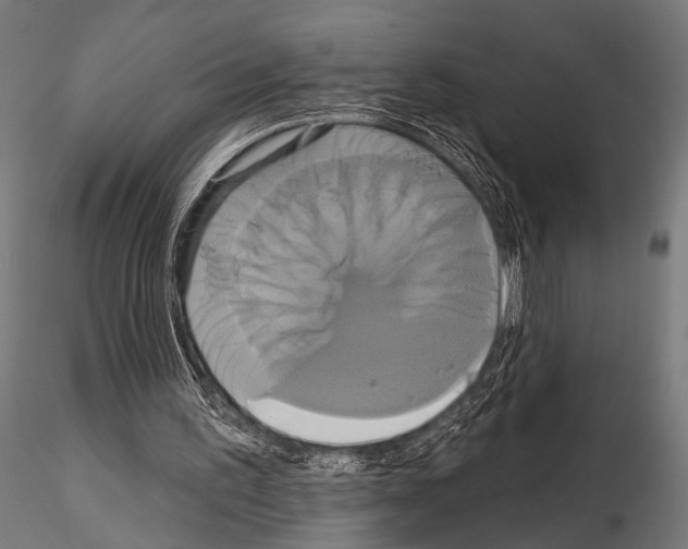 X0000115170195200912091031