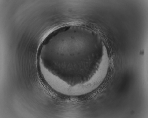 X0000115170196200912091031