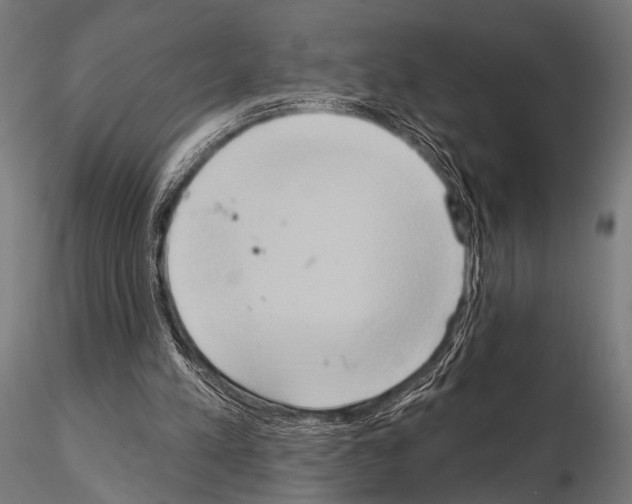 X0000115170197200912091031