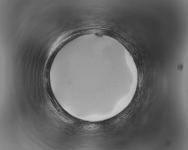 X0000115170198200912091031