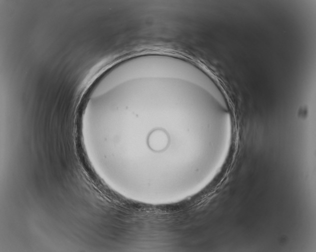 X0000115170199200912091031