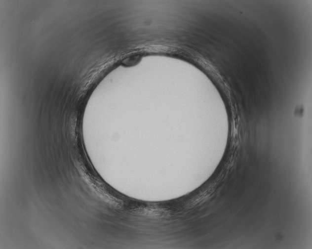 X0000115170201200912091031