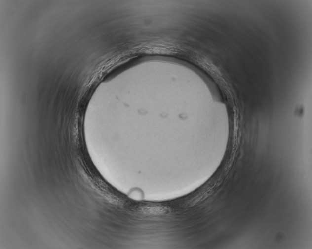 X0000115170202200912091031