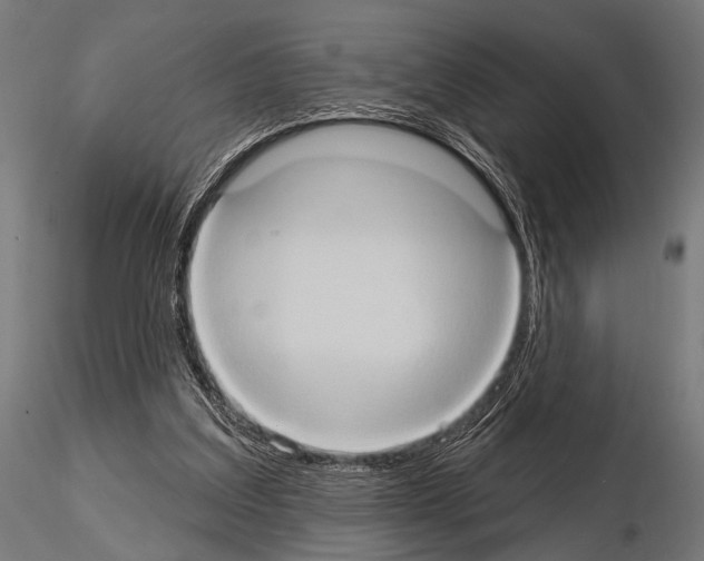 X0000115170203200912091031