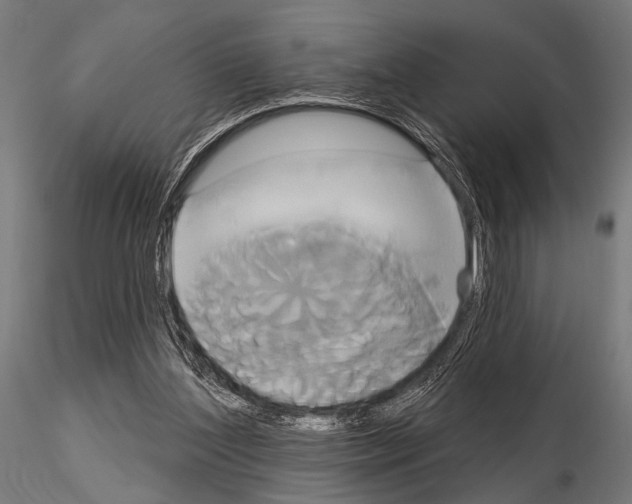 X0000115170204200912091031