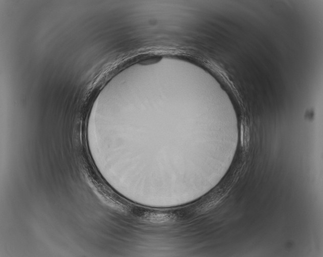 X0000115170205200912091031