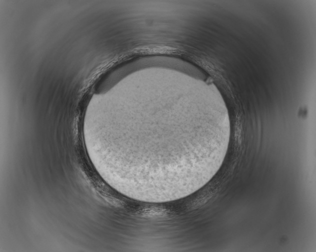 X0000115170206200912091031