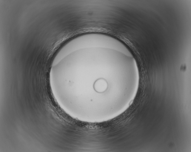 X0000115170207200912091031