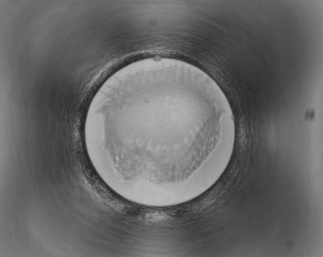 X0000115170208200912091031