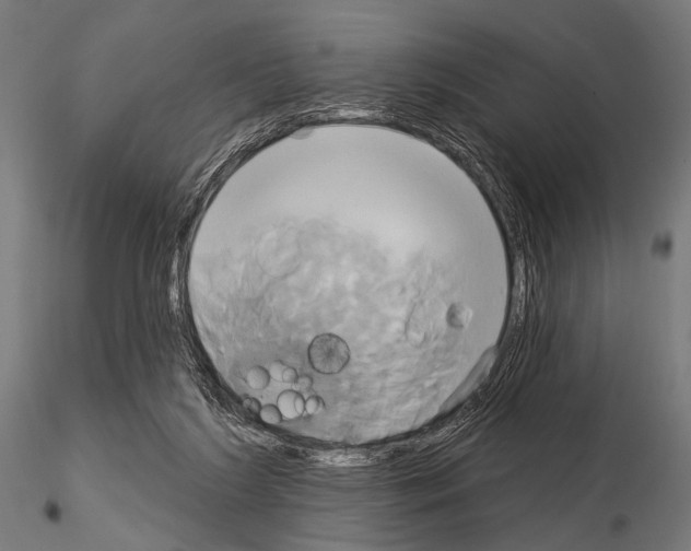 X0000115170212200912091031