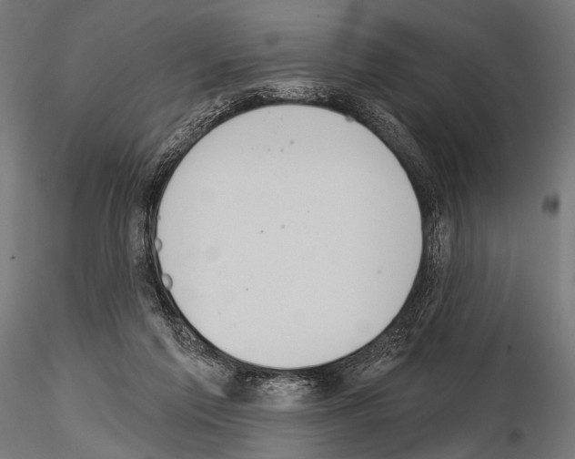 X0000115170213200912091031