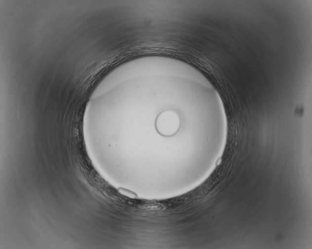 X0000115170215200912091031