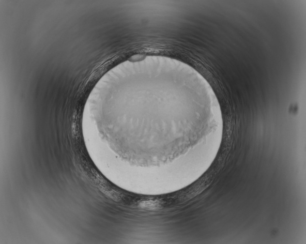 X0000115170216200912091031