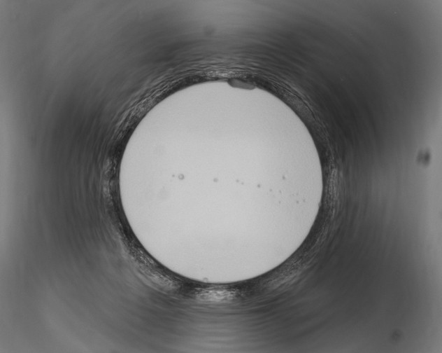 X0000115170217200912091031