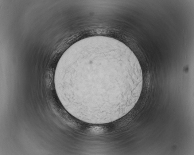 X0000115170218200912091031