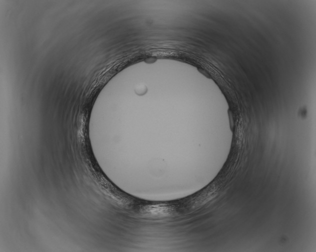 X0000115170219200912091031