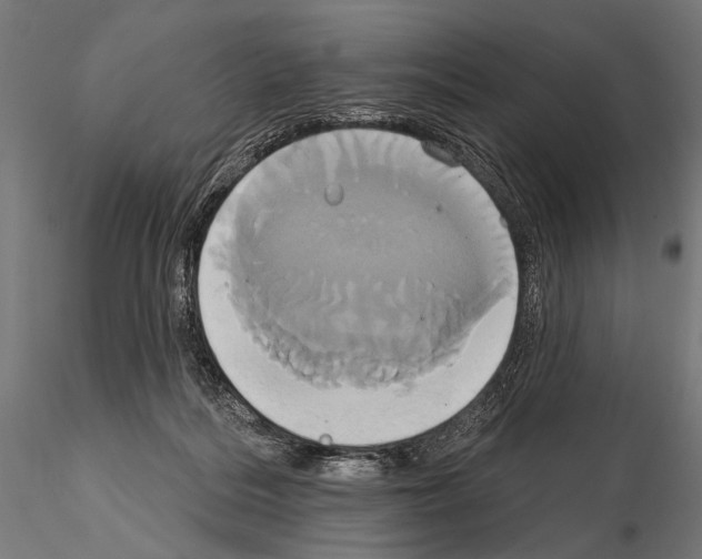 X0000115170220200912091031