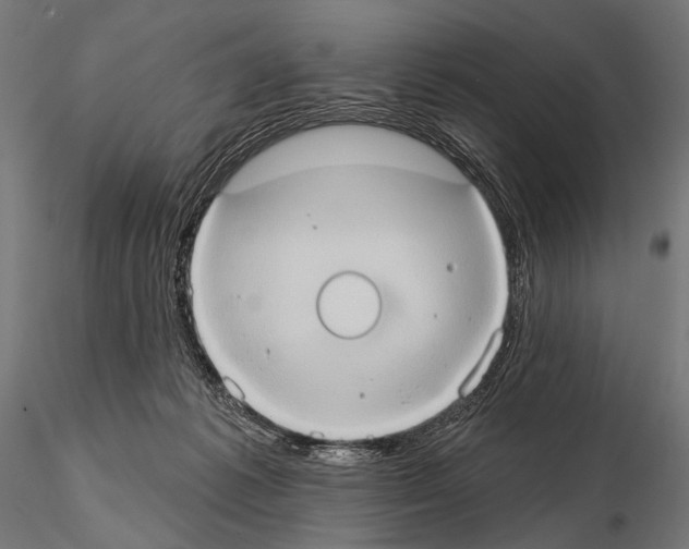 X0000115170221200912091031