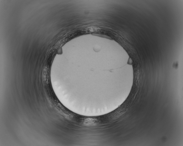 X0000115170222200912091031