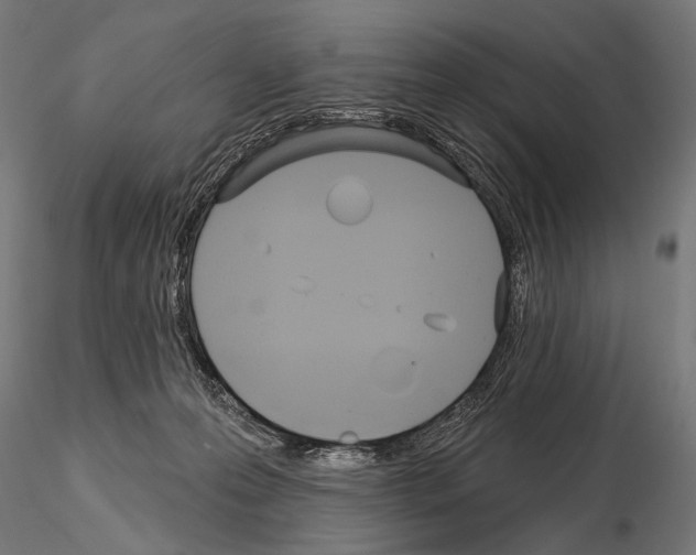 X0000115170223200912091031