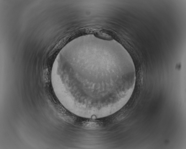 X0000115170224200912091031