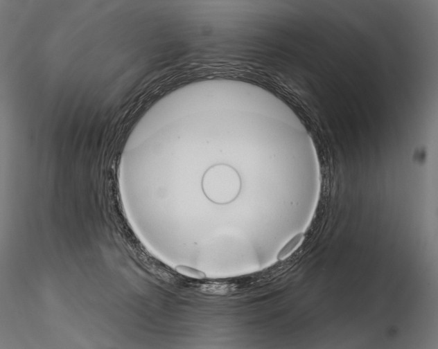 X0000115170225200912091031