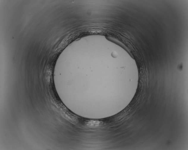 X0000115170227200912091031