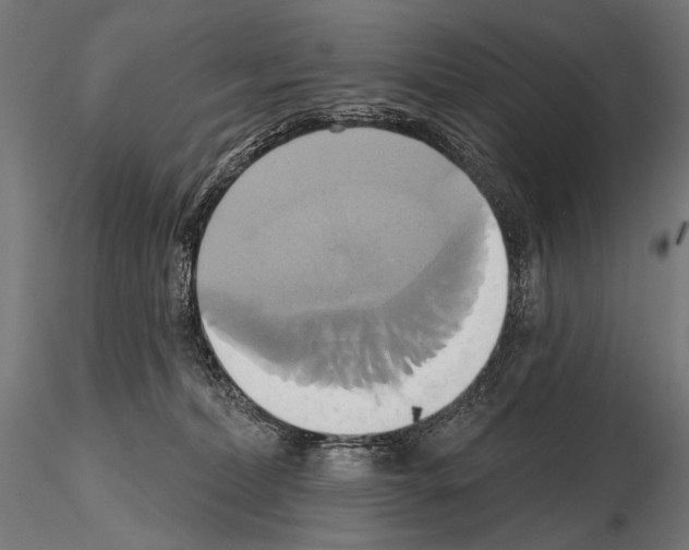 X0000115170228200912091031